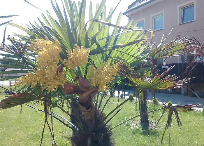 بيت ريفي Pulaskiego *