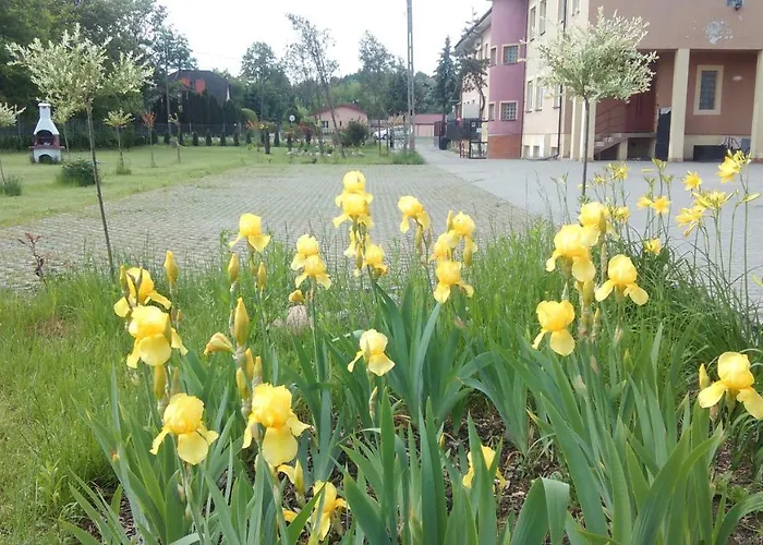 Pulaskiego بيت ريفي